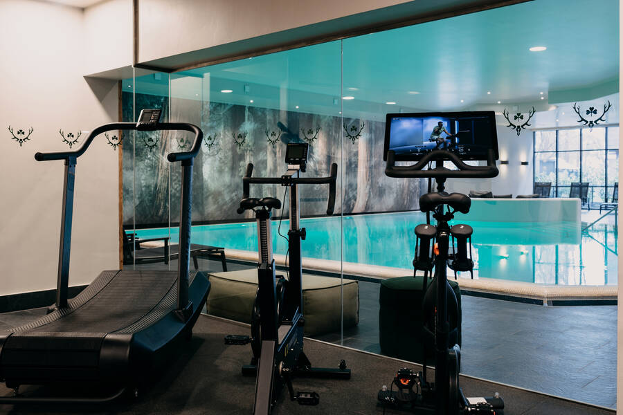 Blick auf Fitnessgeräte, Pool im Hintergrund.