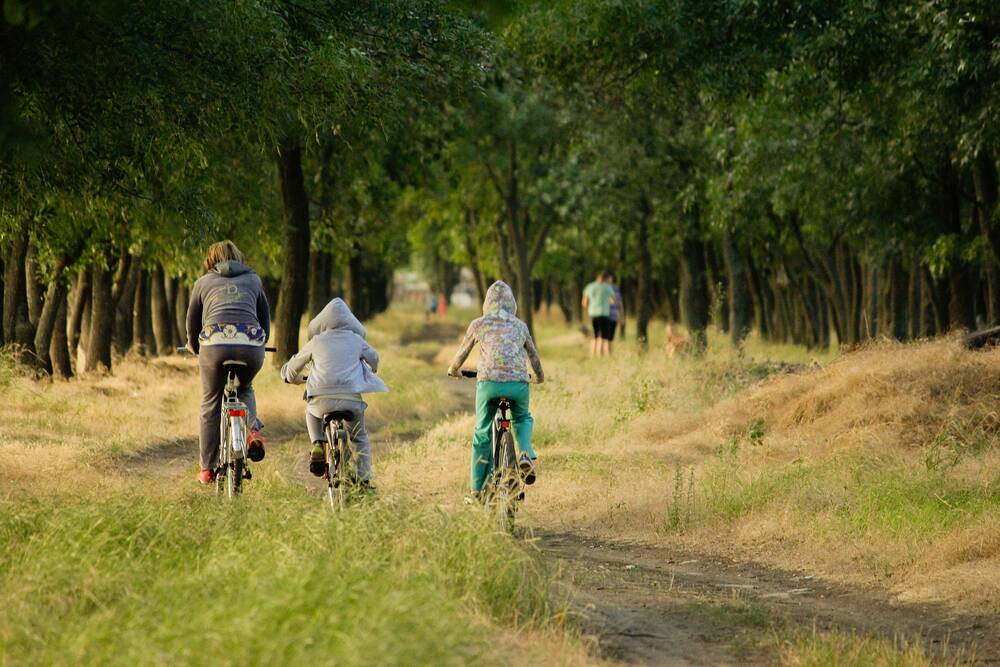 Familie beim Fahrradfahren im Wald, eine Mutter mit zwei Kindern.