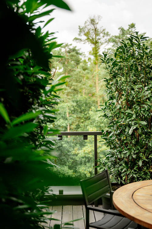 Blick auf den begrünten Balkon der Suite mit Stuhl und Tisch.